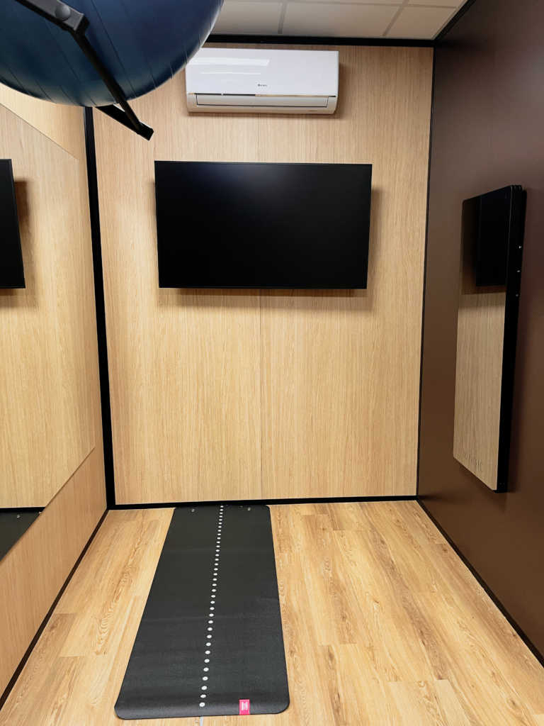 Regenerace a mobilita